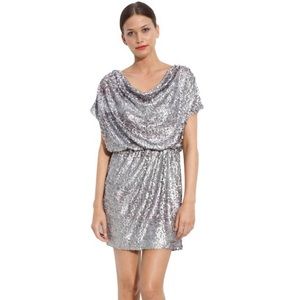Silver Sequin Dress